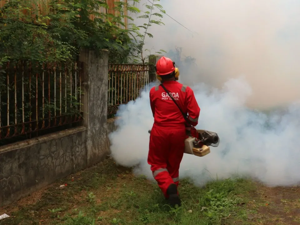Pest Control Technician — Outdoor Service — Pest Control Technician, Fogging Machine, Hard Hat, Pest Control, HVAC in Burlin…
